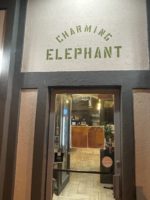 Charming Elephant